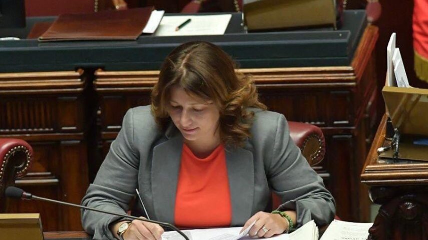 11decreto sud 11decreto sud