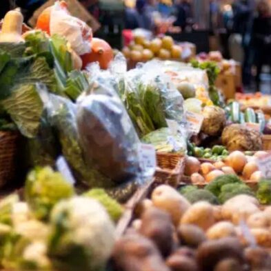 16 sperimentazione triennale reddito alimentare