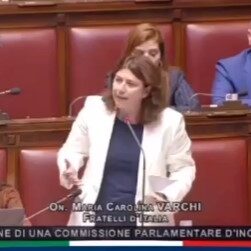 7 commissione inchiesta covid